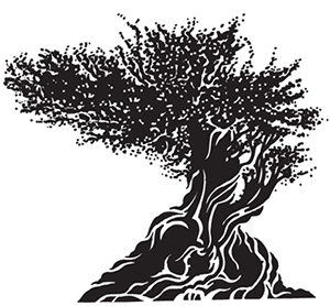bristlecone pine logo